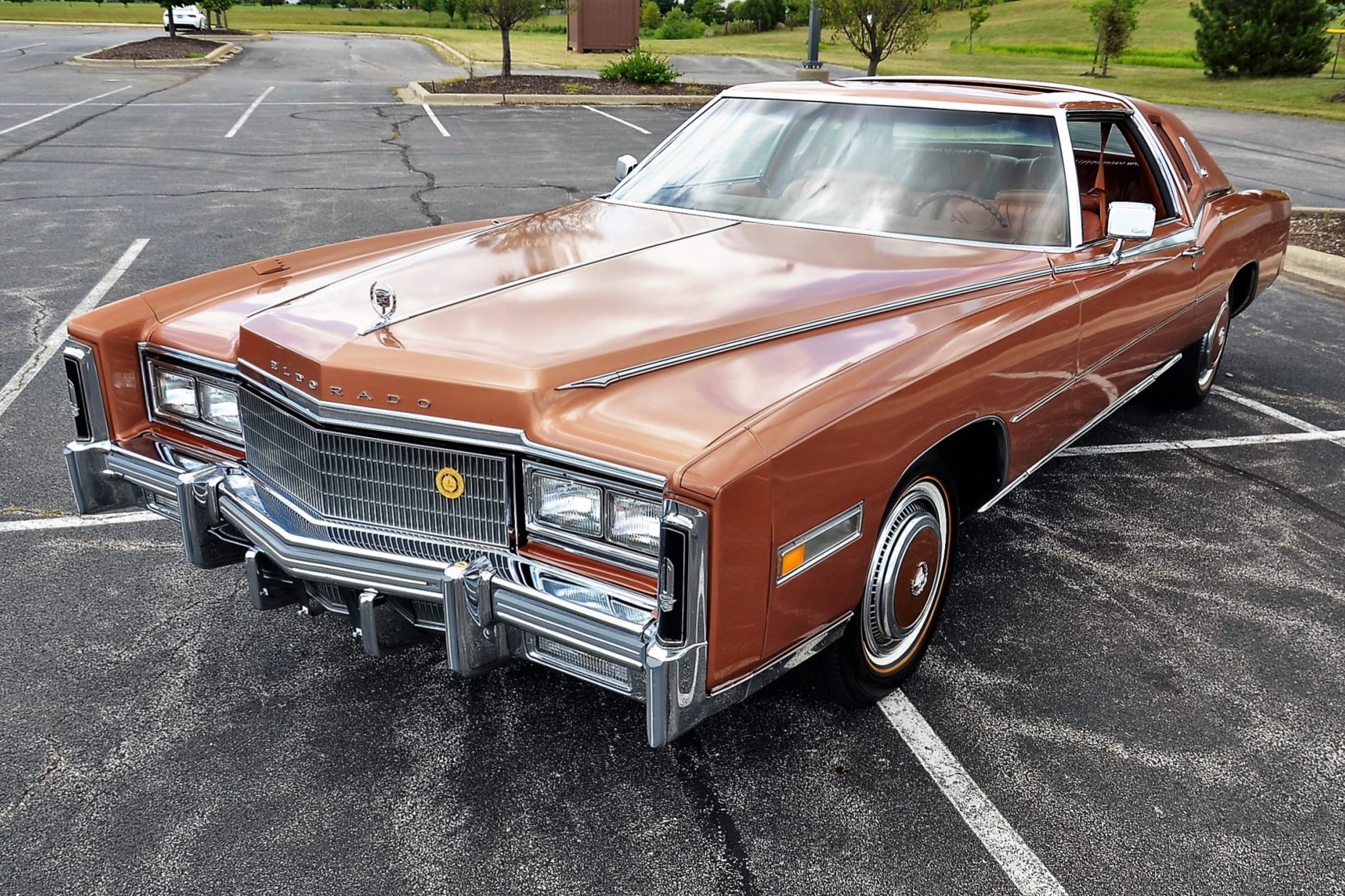 1977_cadillac_eldorado_159685541218fc5c8DSC_1789